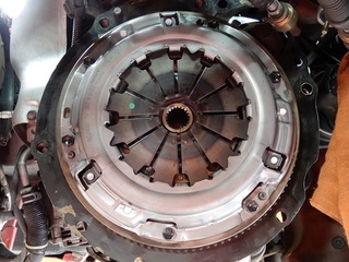 250314-4.JPG