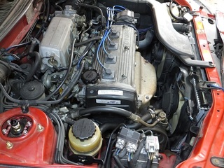 250625-4.JPG