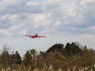20201122_135941.jpg