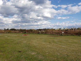 20201122_135942.jpg