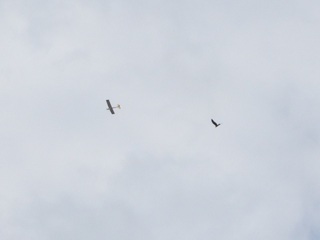 220815-7.JPG