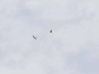 220815-8.JPG