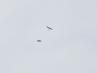 220815-9.JPG