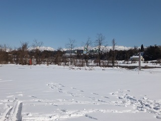 DSCF5900.JPG