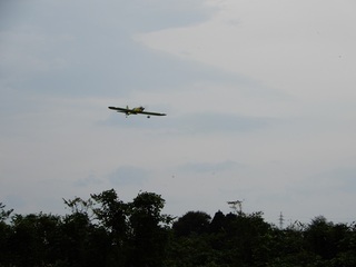 Michi 25-044-6.JPG