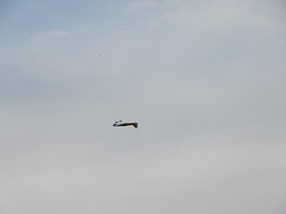 Michi 25-044-7.JPG