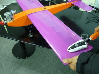 P1120003.JPG