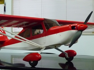 P1120575.JPG