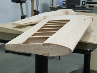 P1130241-1.jpg