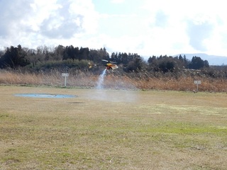 amigo30-11.6.JPG
