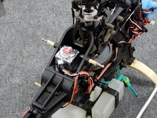 amigo50.2-08.JPG