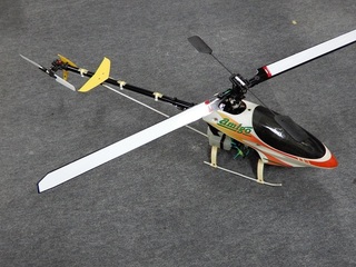 amigo50.2-12.JPG