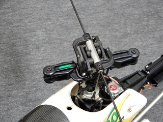 amigo50.2-19.JPG