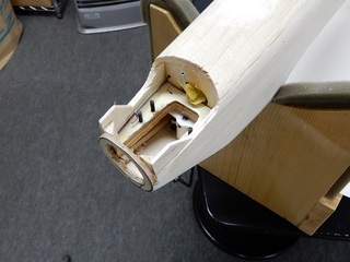 lucky-073.JPG