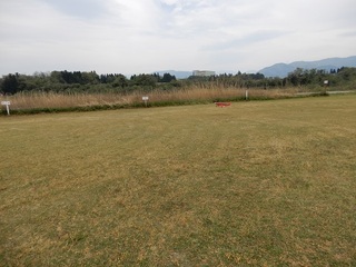 lucky-126.JPG