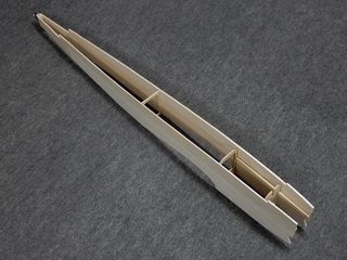 thunderlight_025.9.JPG